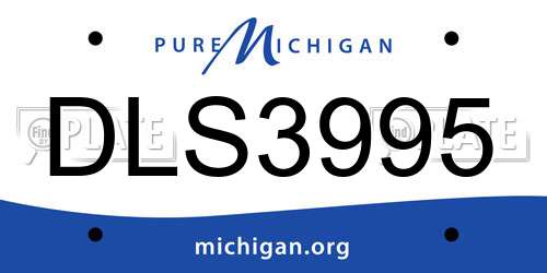 DLS3995 Michigan License Plate