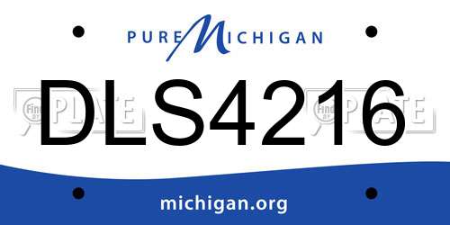 DLS4216 Michigan License Plate