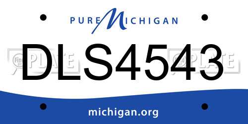 DLS4543 Michigan License Plate
