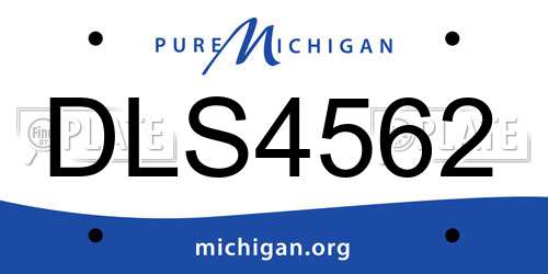 DLS4562 Michigan License Plate