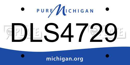 DLS4729 Michigan License Plate