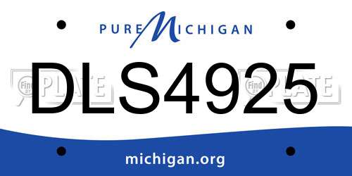 DLS4925 Michigan License Plate