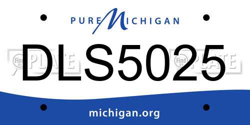 DLS5025 Michigan License Plate