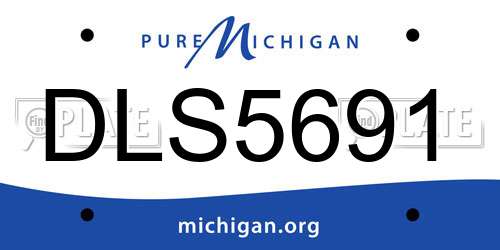 DLS5691 Michigan License Plate