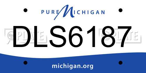 DLS6187 Michigan License Plate