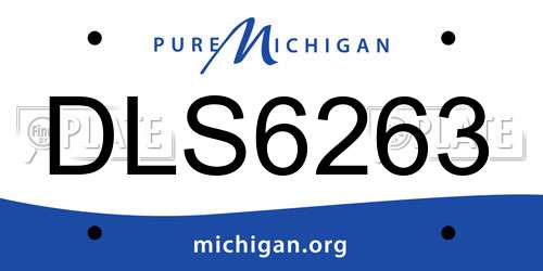 DLS6263 Michigan License Plate