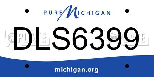 DLS6399 Michigan License Plate
