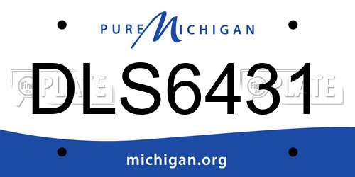 DLS6431 Michigan License Plate