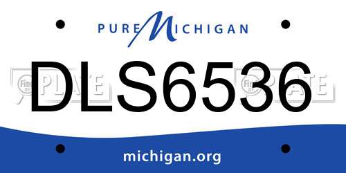 DLS6536 Michigan License Plate