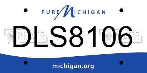 DLS8106 Michigan License Plate