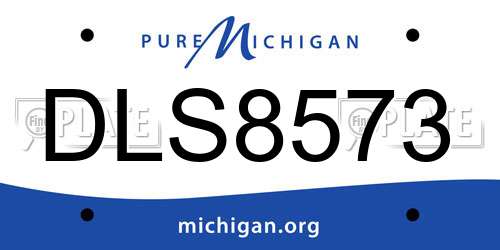 DLS8573 Michigan License Plate