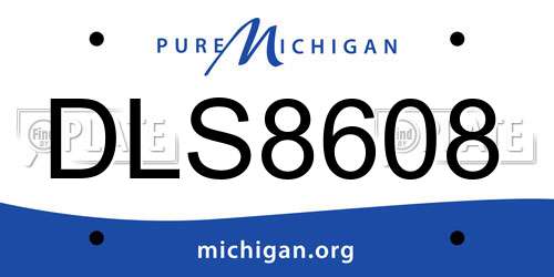 DLS8608 Michigan License Plate