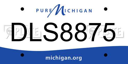 DLS8875 Michigan License Plate