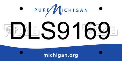 DLS9169 Michigan License Plate