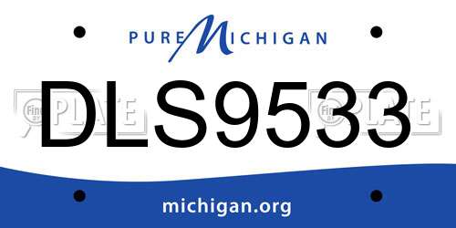 DLS9533 Michigan License Plate