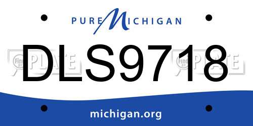 DLS9718 Michigan License Plate