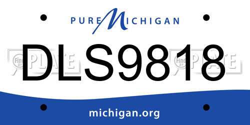 DLS9818 Michigan License Plate