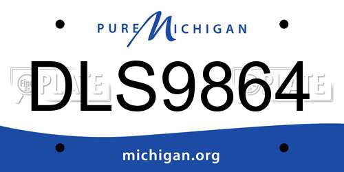 DLS9864 Michigan License Plate