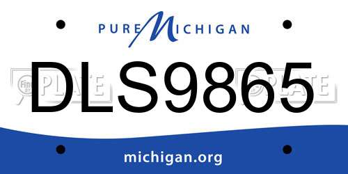 DLS9865 Michigan License Plate