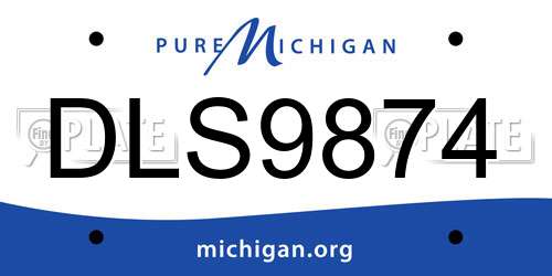 DLS9874 Michigan License Plate