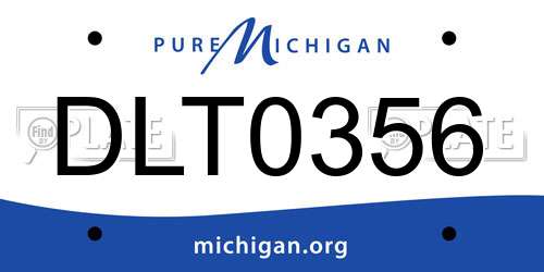 DLT0356 Michigan License Plate