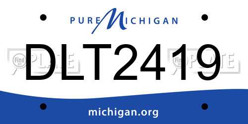DLT2419 Michigan License Plate