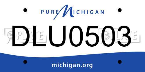 DLU0503 Michigan License Plate