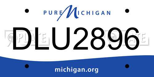 DLU2896 Michigan License Plate