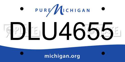 DLU4655 Michigan License Plate