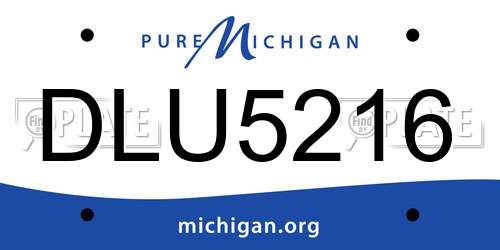 DLU5216 Michigan License Plate