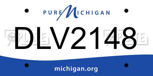 DLV2148 Michigan License Plate