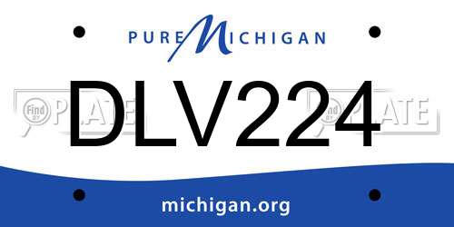 DLV224 Michigan License Plate