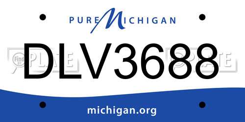 DLV3688 Michigan License Plate