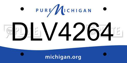 DLV4264 Michigan License Plate