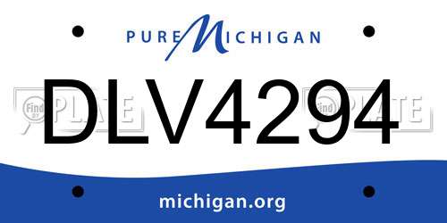 DLV4294 Michigan License Plate