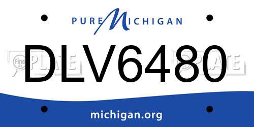 DLV6480 Michigan License Plate