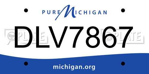 DLV7867 Michigan License Plate