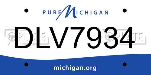DLV7934 Michigan License Plate