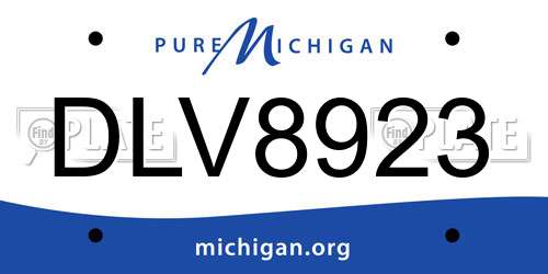 DLV8923 Michigan License Plate
