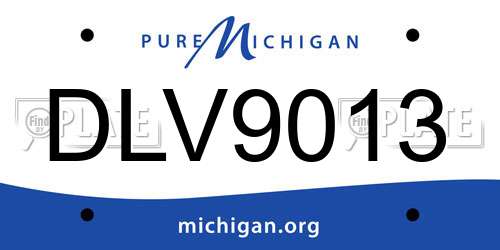 DLV9013 Michigan License Plate