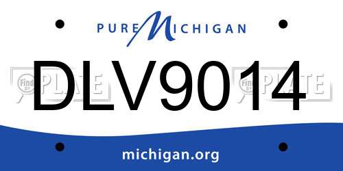 DLV9014 Michigan License Plate