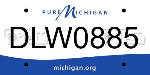 DLW0885 Michigan License Plate