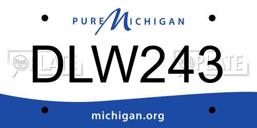 DLW243 Michigan License Plate