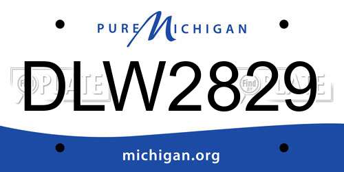 DLW2829 Michigan License Plate