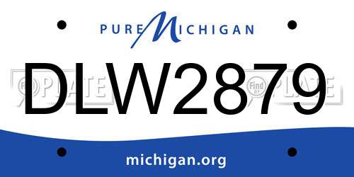 DLW2879 Michigan License Plate