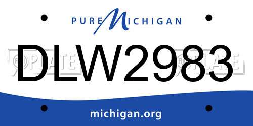 DLW2983 Michigan License Plate
