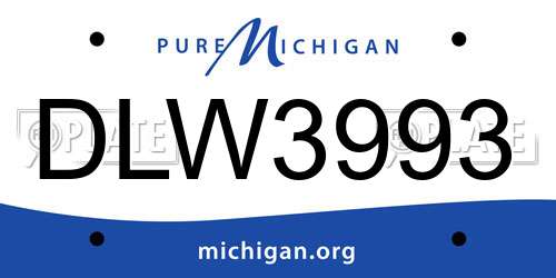 DLW3993 Michigan License Plate