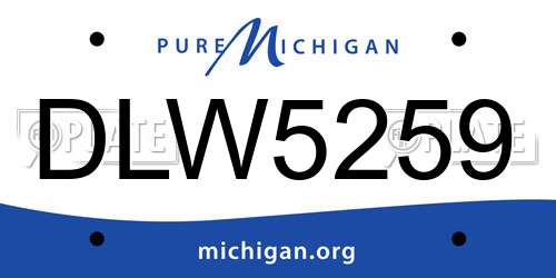 DLW5259 Michigan License Plate
