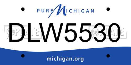 DLW5530 Michigan License Plate
