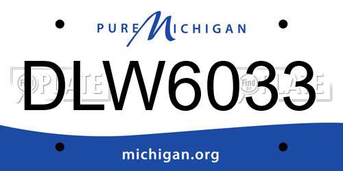 DLW6033 Michigan License Plate